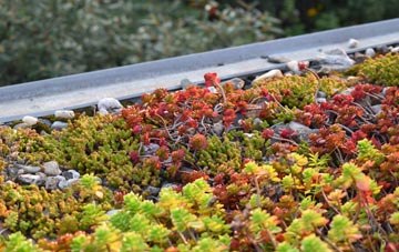 the cost of Sorley green roof installation