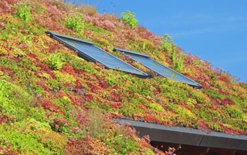 Sorley living roof systems