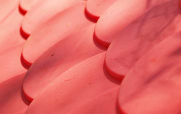 Sorley plastic roof costs