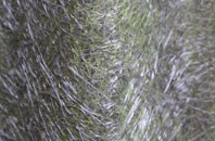 Sorley fibreglass roof work